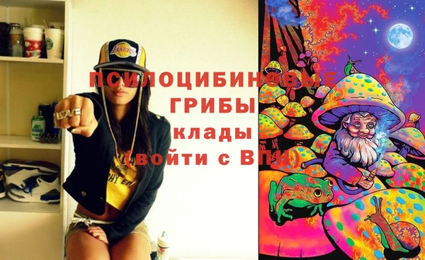 хмурый Балабаново