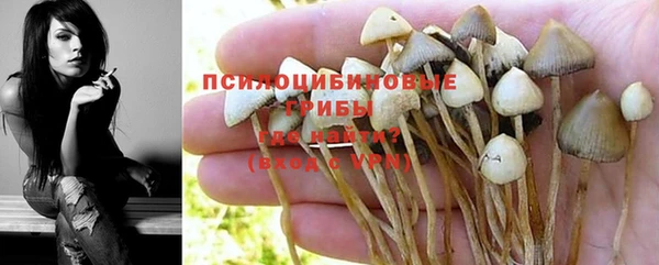 ECSTASY Балахна
