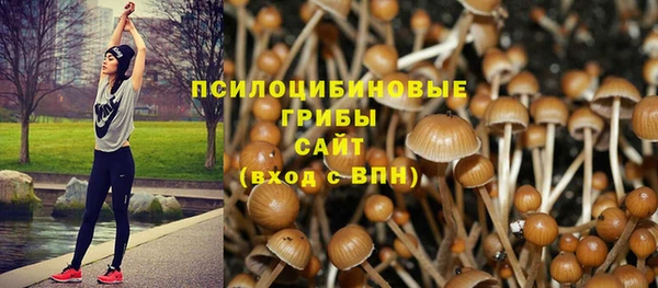 ECSTASY Балахна