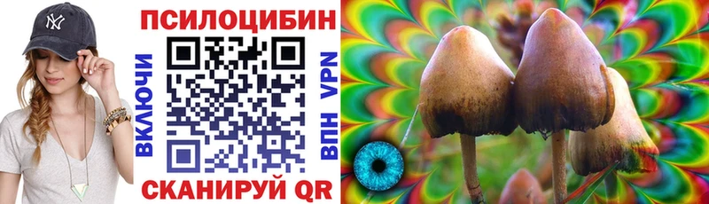 Купить закладки  Покровск  Галлюциногенные грибы ЛСД 